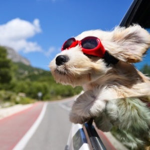 Ferienzeit ist Reisezeit! Wie Urlauber durch schlaues Tanken Geld sparen können